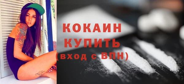 гашик Пересвет