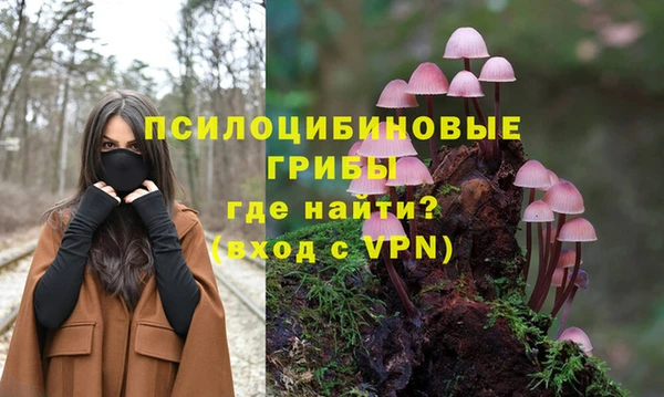 гашик Пересвет