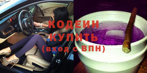 гашик Пересвет