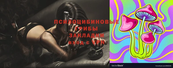 гашик Пересвет