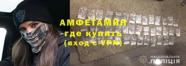 гашик Пересвет