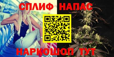 твердый Бийск