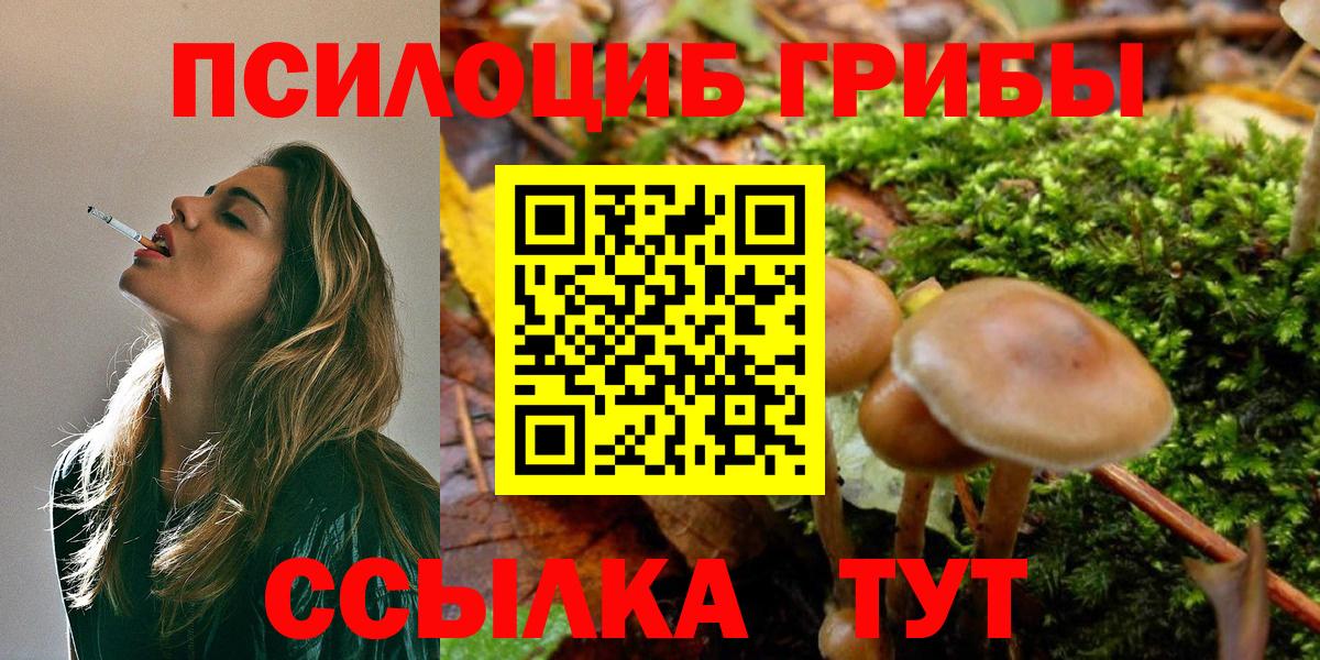 Галлюциногенные грибы мицелий  Красный Сулин 