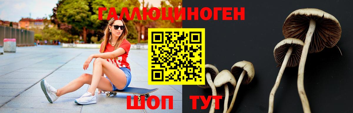 Красный Сулин  Псилоцибиновые грибы MAGIC MUSHROOMS  Вход с VPN 